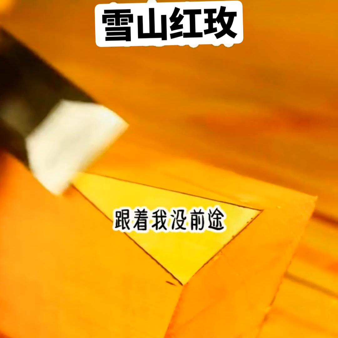 📖〖雪山红玫〗#拯救书荒