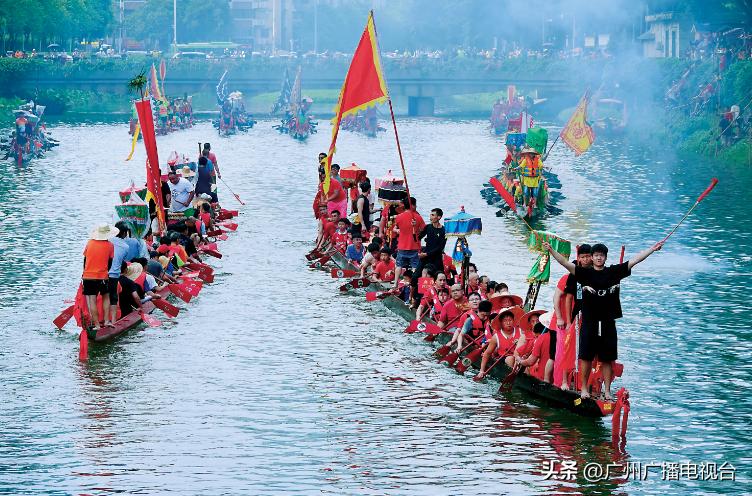 广州多区“睇龙船”超全指南,广东“睇龙船”指南来了