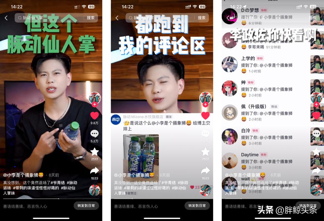 仙人掌味脉动讲解,仙人掌味的脉动原版