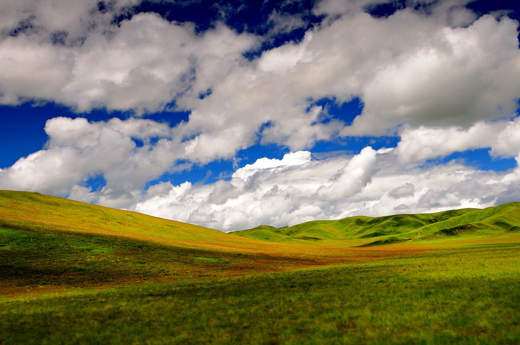 四川最美草原—若尔盖草原欣赏