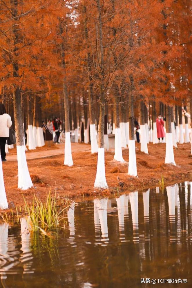 长沙十大免费公园推荐,长沙市综合性公园