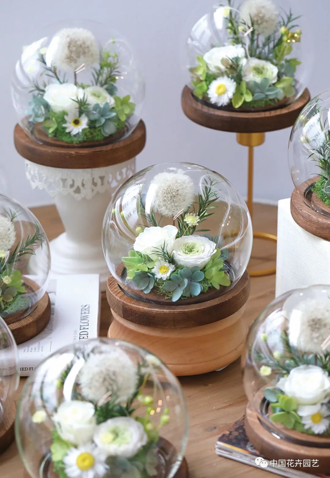 国产永生花或迎来发展新空间|“特别的花给特别的你”专题