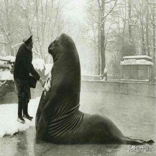 日军兽行：当着男人的面玷污了女儿，临走还残忍割下妻子乳房