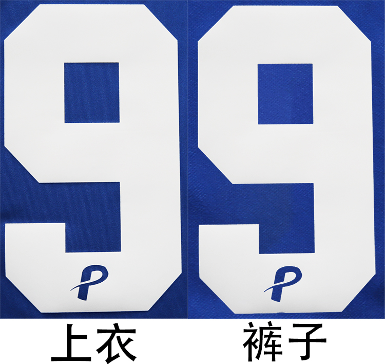 新余米捷,新余米捷足球俱乐部