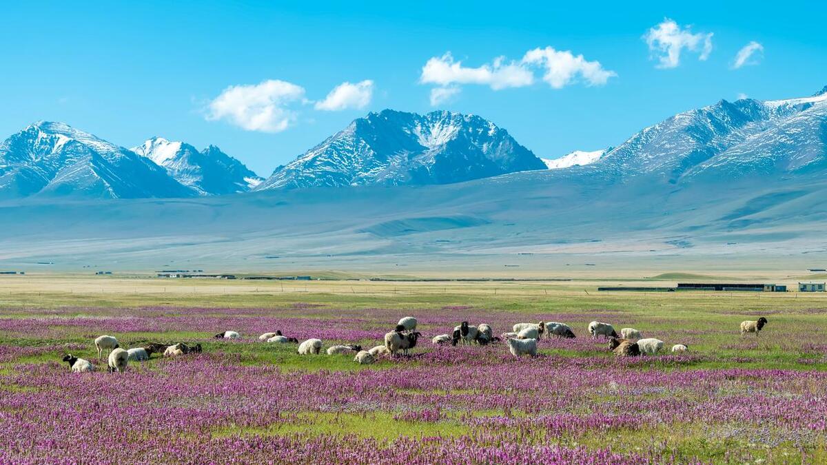 全新疆最美丽的地方,出疆旅游的地方有哪些