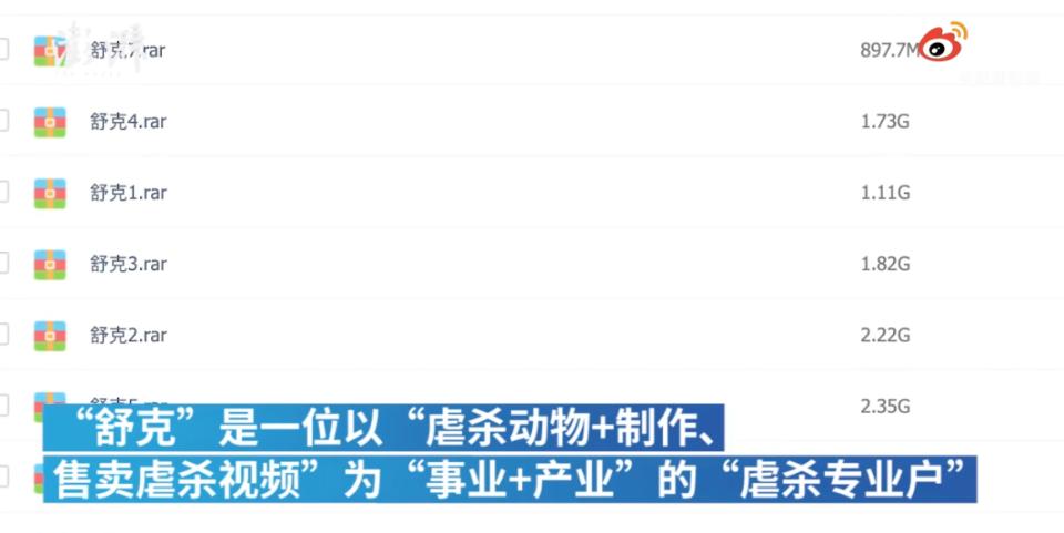 热搜上的网红，早该进监狱了