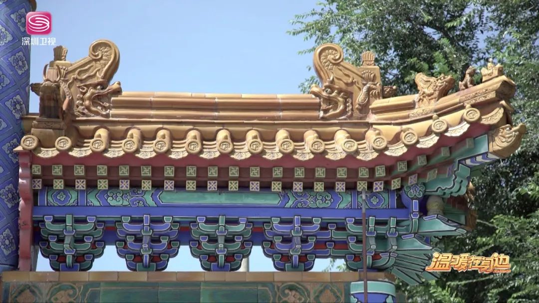 能给病人看病的是什么医生,专门给动物看病