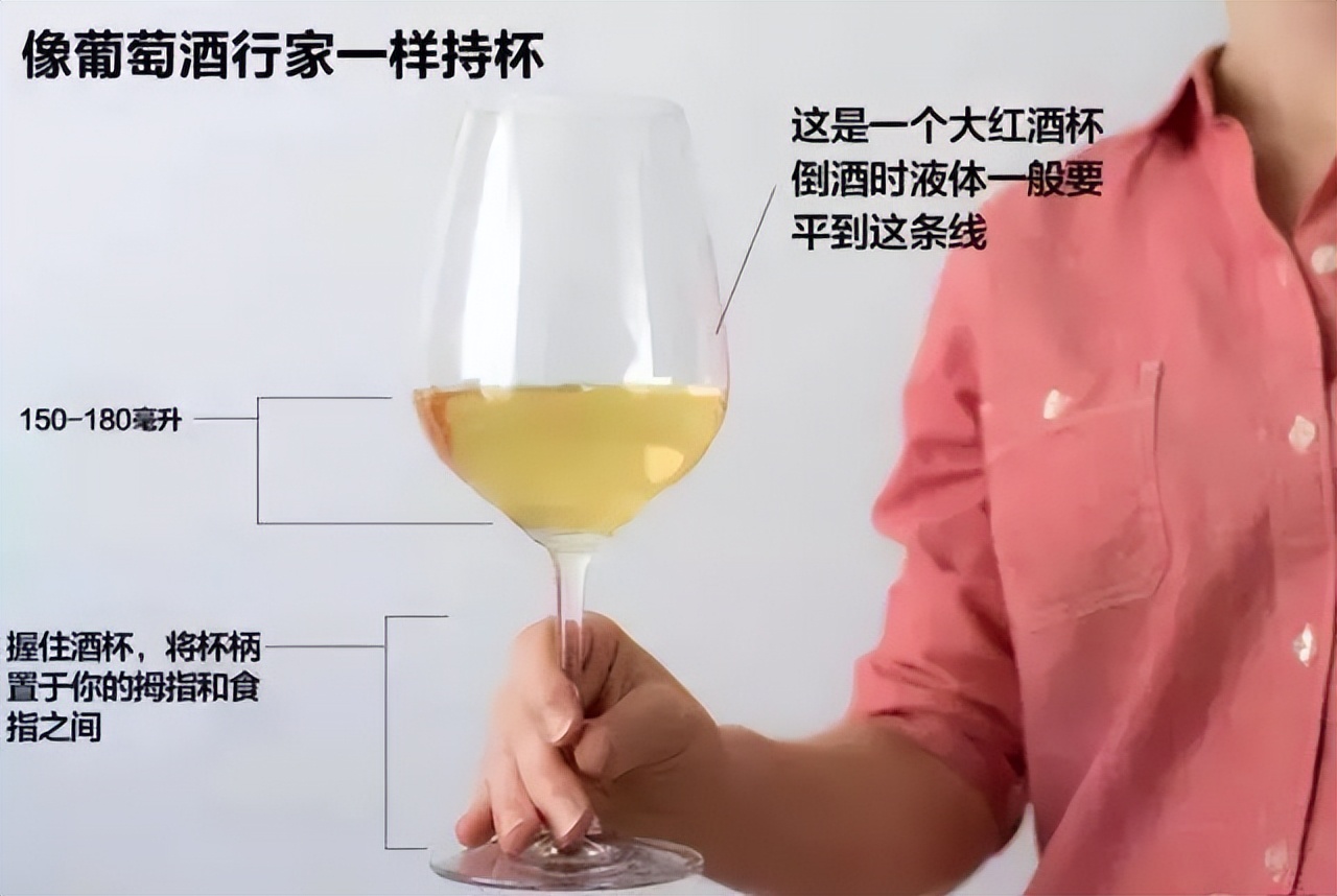 葡萄酒基础知识教程电子版,葡萄酒器具大全