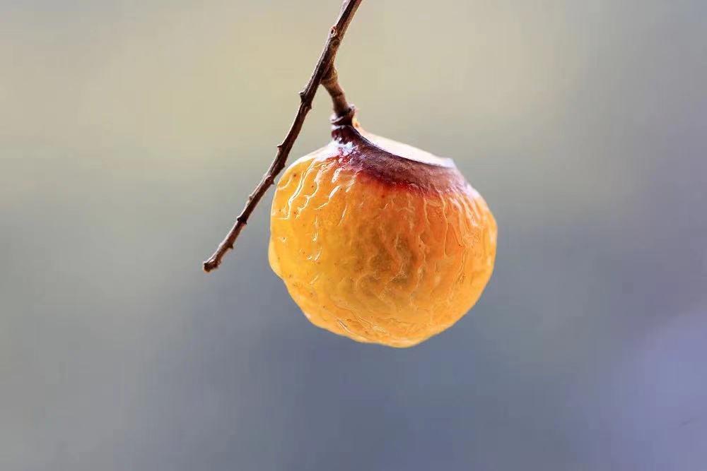 5元一瓶的良心国货，不该成为时代的眼泪！