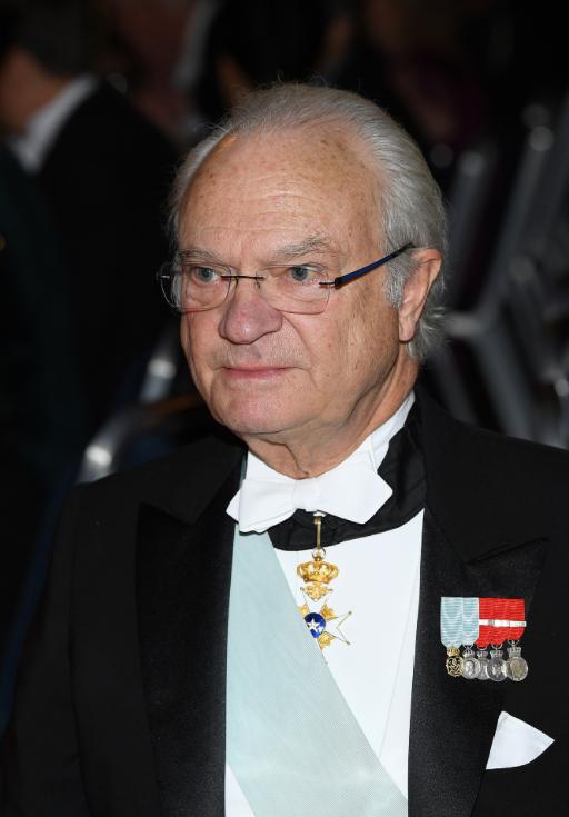 瑞典国王是谁的儿子,瑞典国王唯一的儿子