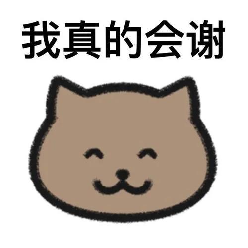 2022年十大网络流行词语,2021年网络流行热词你知多少