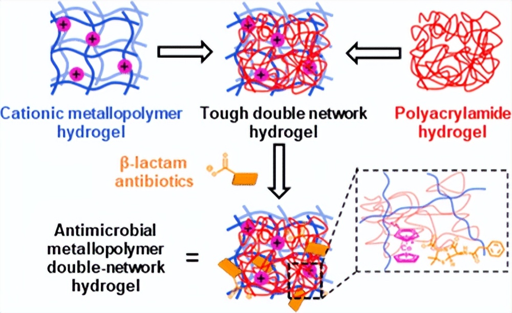 双重聚合的坚韧抗菌金属聚合物双网络水凝胶