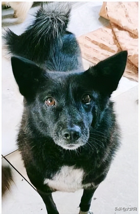 张洪英儿科,张洪英年轻照片