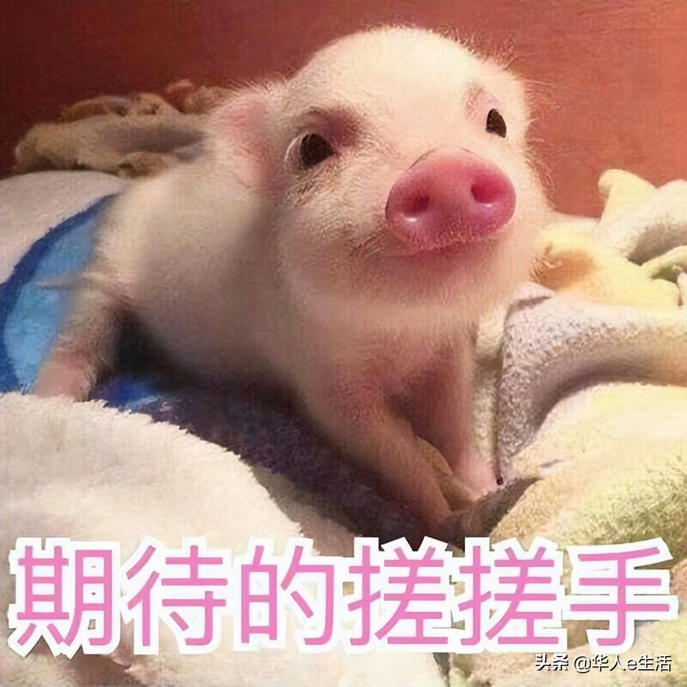 印尼telkomsel流量查询,印尼telkomsel卡如何包流量