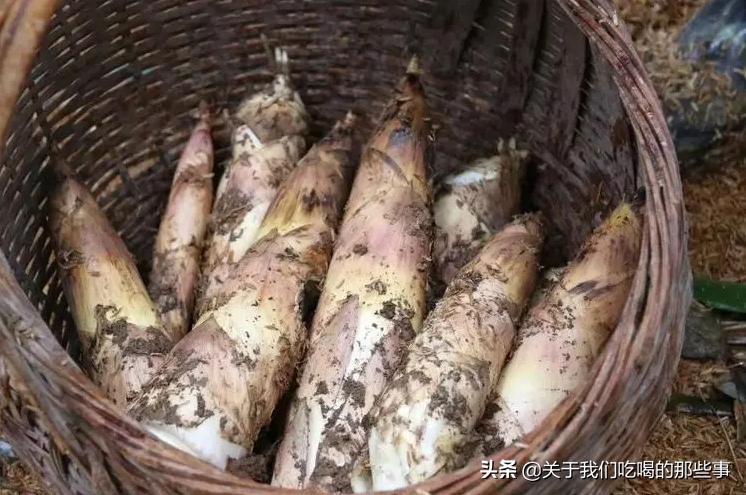 春天吃春笋禁忌多,春季吃笋注意事项
