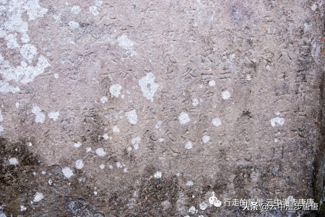 越江码头轮渡,越江轮渡在哪里