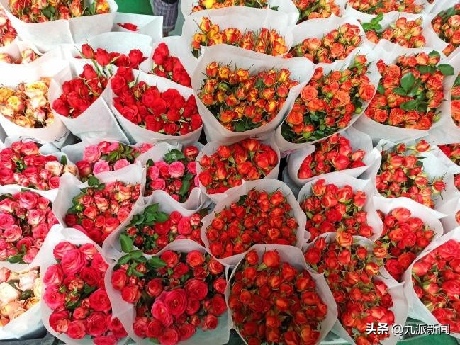 亚洲最大的鲜花鲜切花市场,亚洲最大的鲜花市场招商