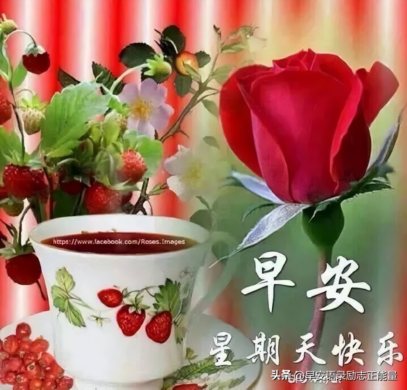 微商早安心语正能量一句话简短,微商早上发圈早安心语简短