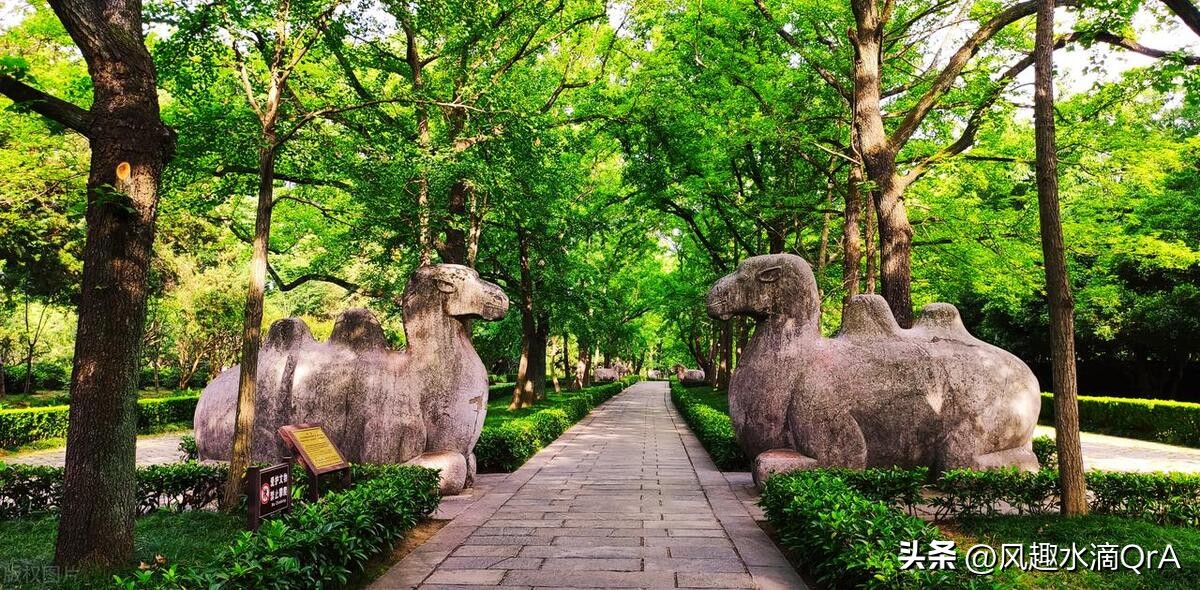 南京六朝古都山水名城,南京市六朝古城