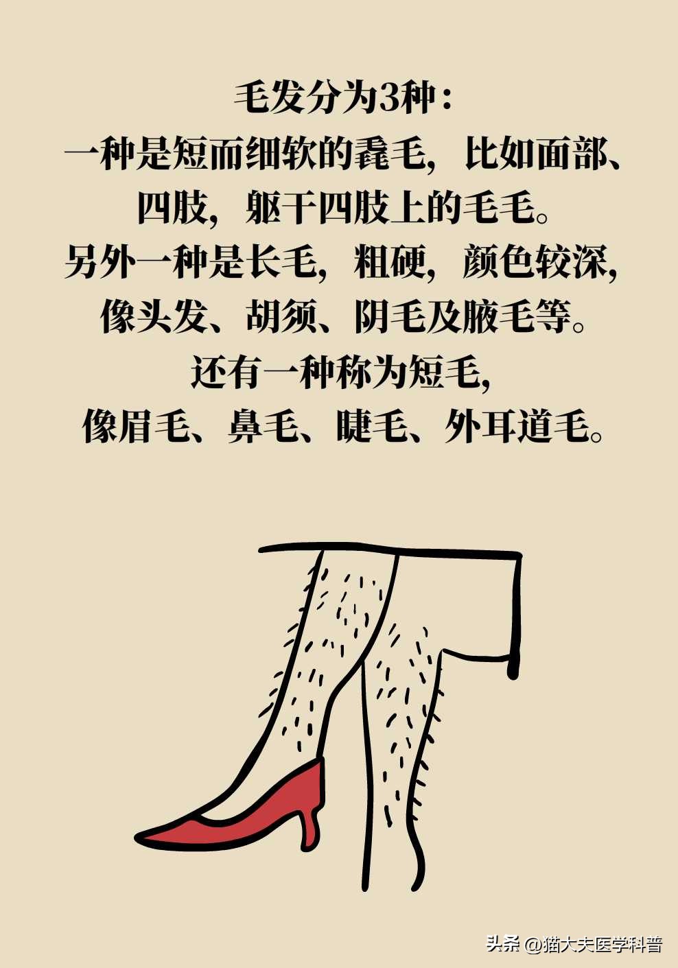 opt激光脱毛是永久的吗,激光男士脱毛永久简单方法