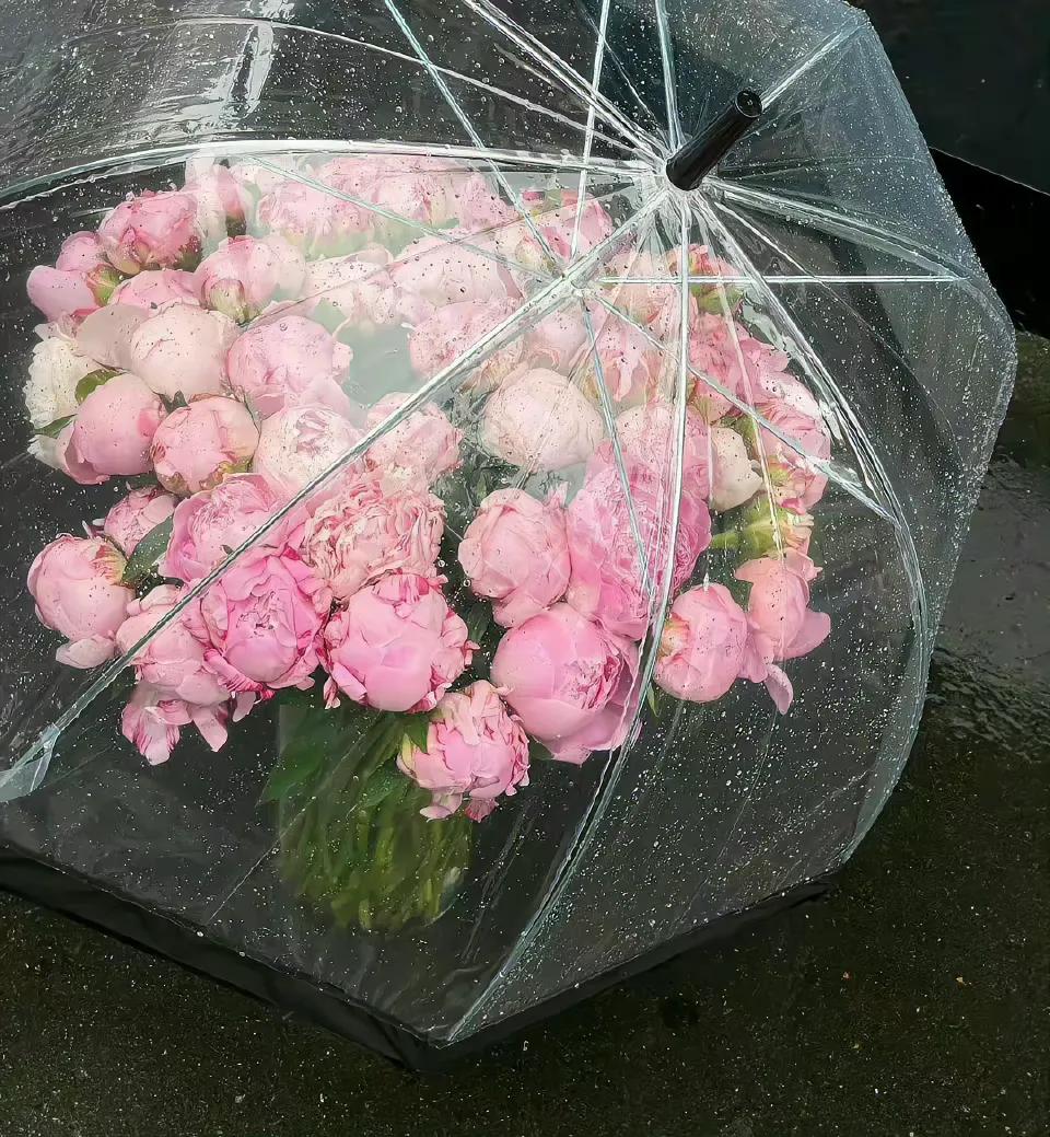 没事早点睡有空多挣钱背景图,多挣钱少生气的背景图