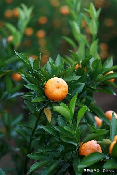 肝气郁结乳腺增生结节,甲状腺结节子宫肌瘤中药调理