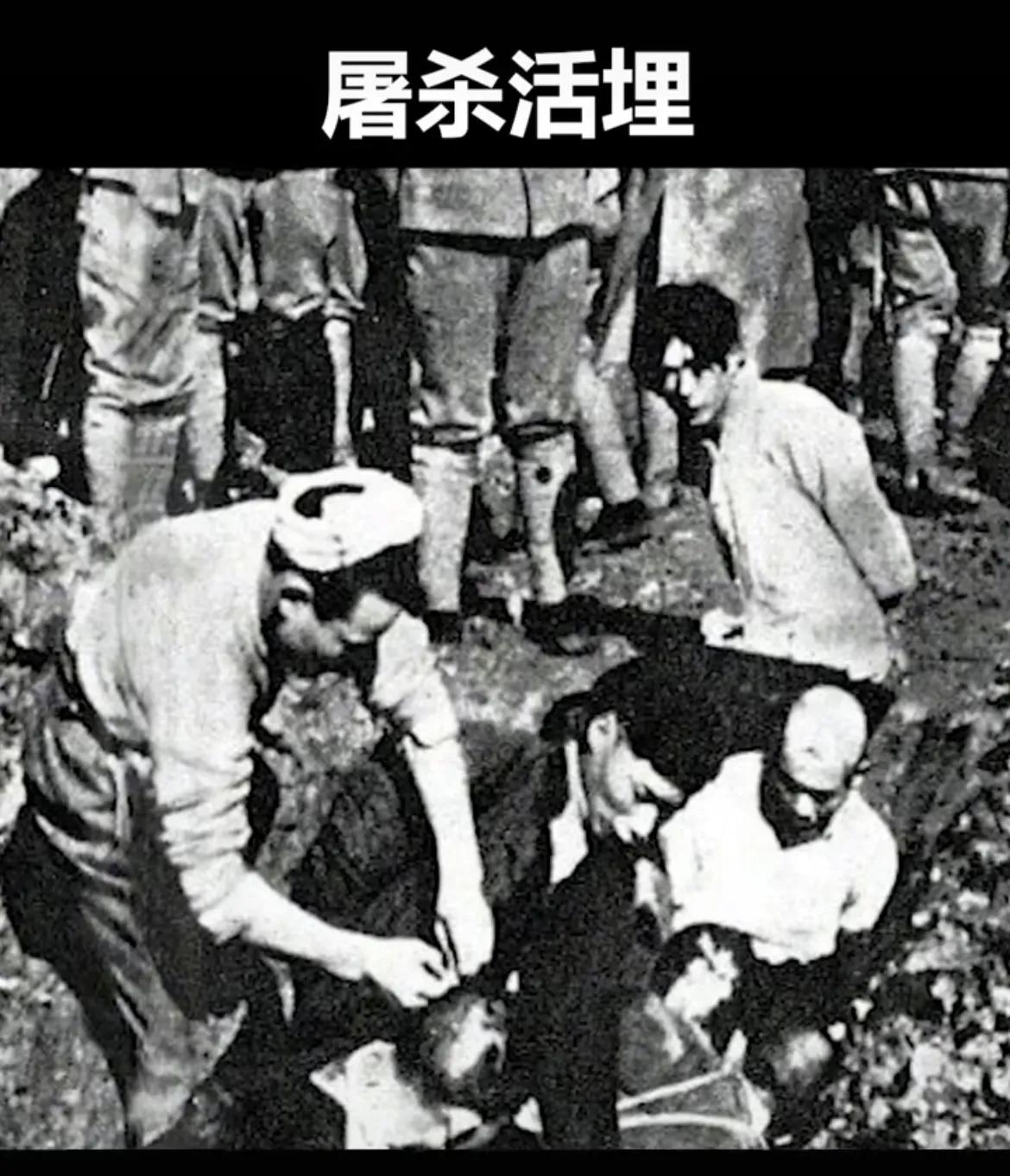 张学良和九一八事变有什么关系,反法西斯和九一八事变关系