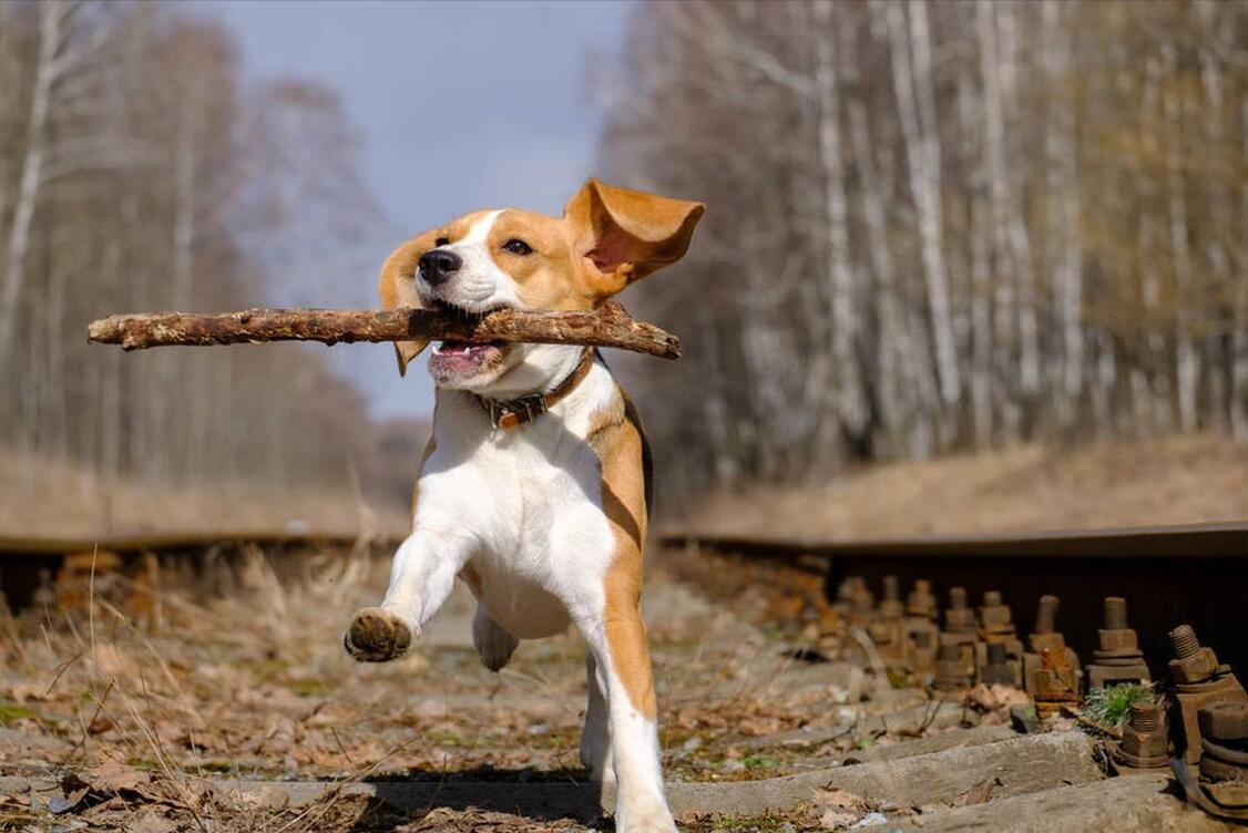 伪装的恶毒后妈（完整版）