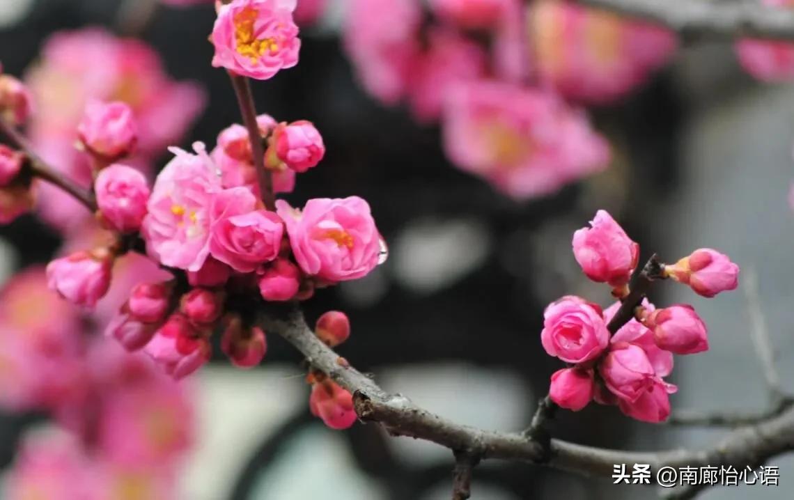 正念与心灵对话,如何使用正念疗法