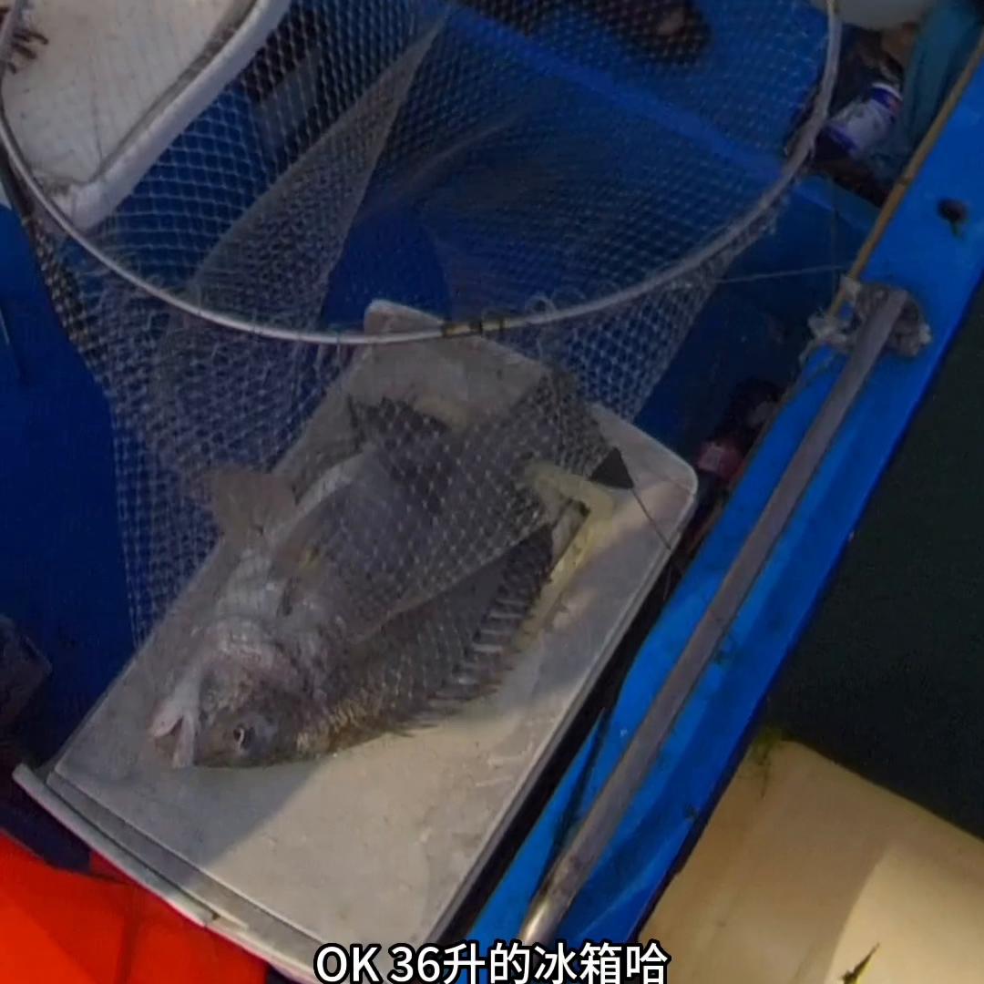 黑牛钓法视频教程,筏钓黑牛技巧