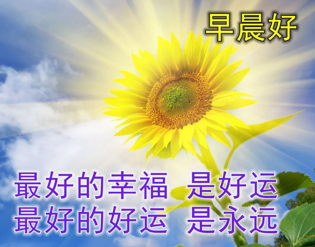 冬天早上祝福语最温馨的话图片,冬天早晨祝福语图片大全