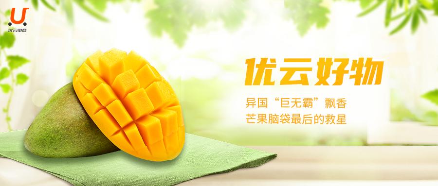 优云好物丨很“芒”的打工人，奖励自己一个大大大mango吧