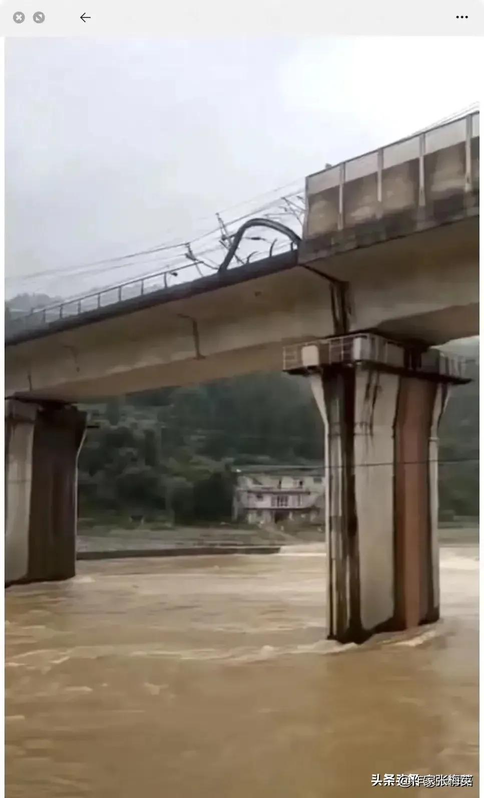 殉职司机杨勇救人,英雄杨勇司机事迹