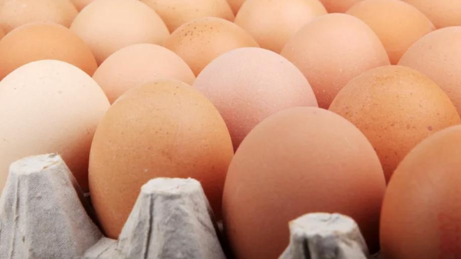 日本鸡蛋很贵吗,日本鸡蛋都很贵吗