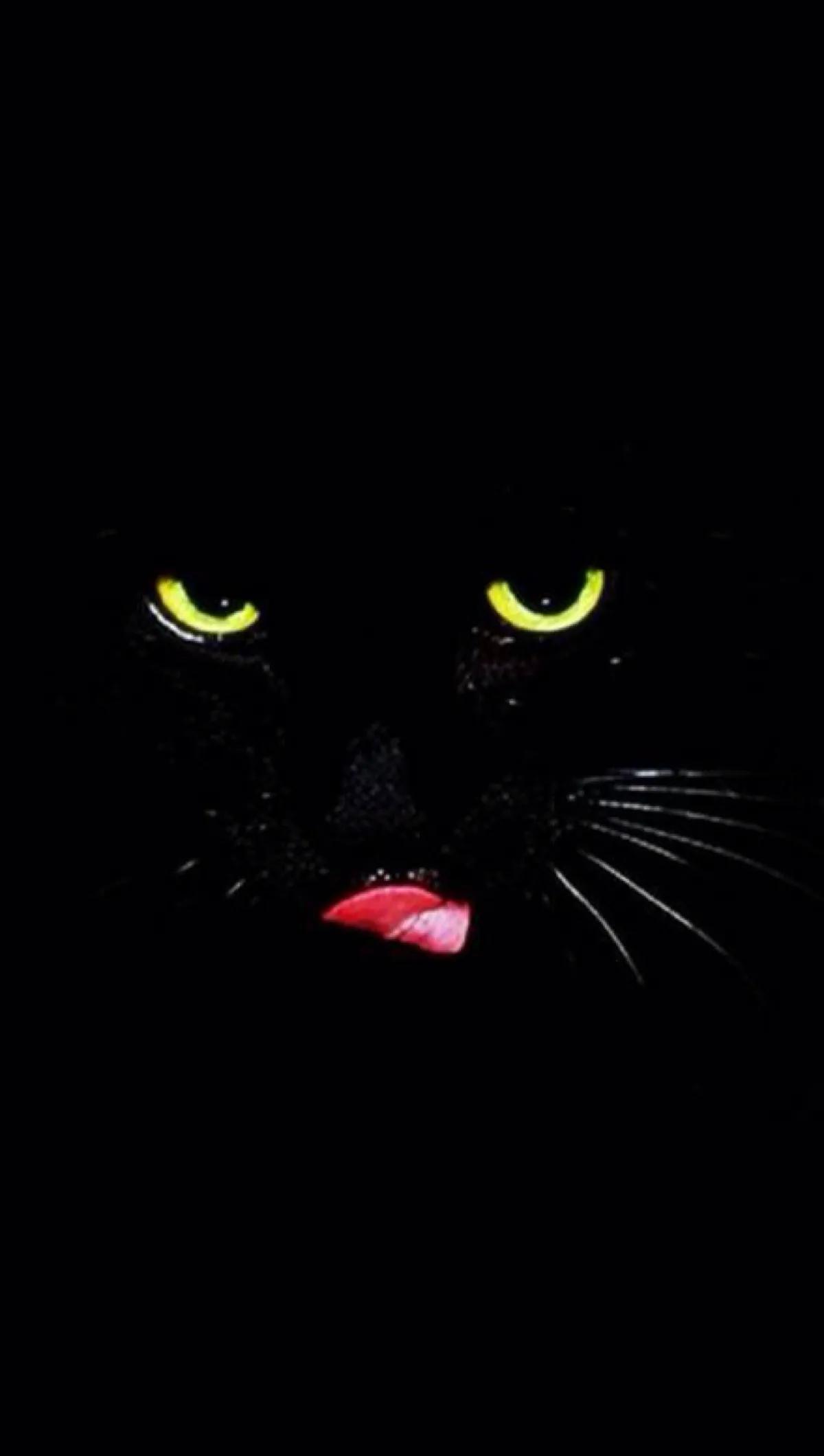 最美的光背景图片,超好看的夜晚蓝色的背景图