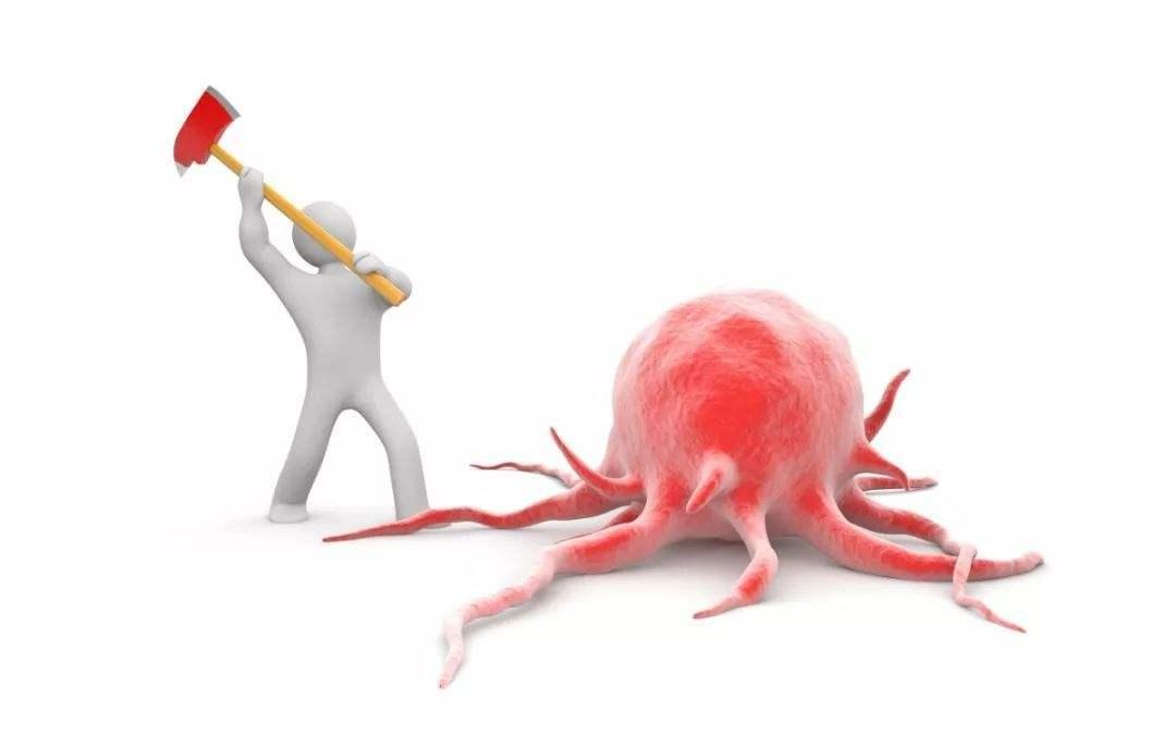 常年不发烧免疫力好不好,常年不发烧的人好不好