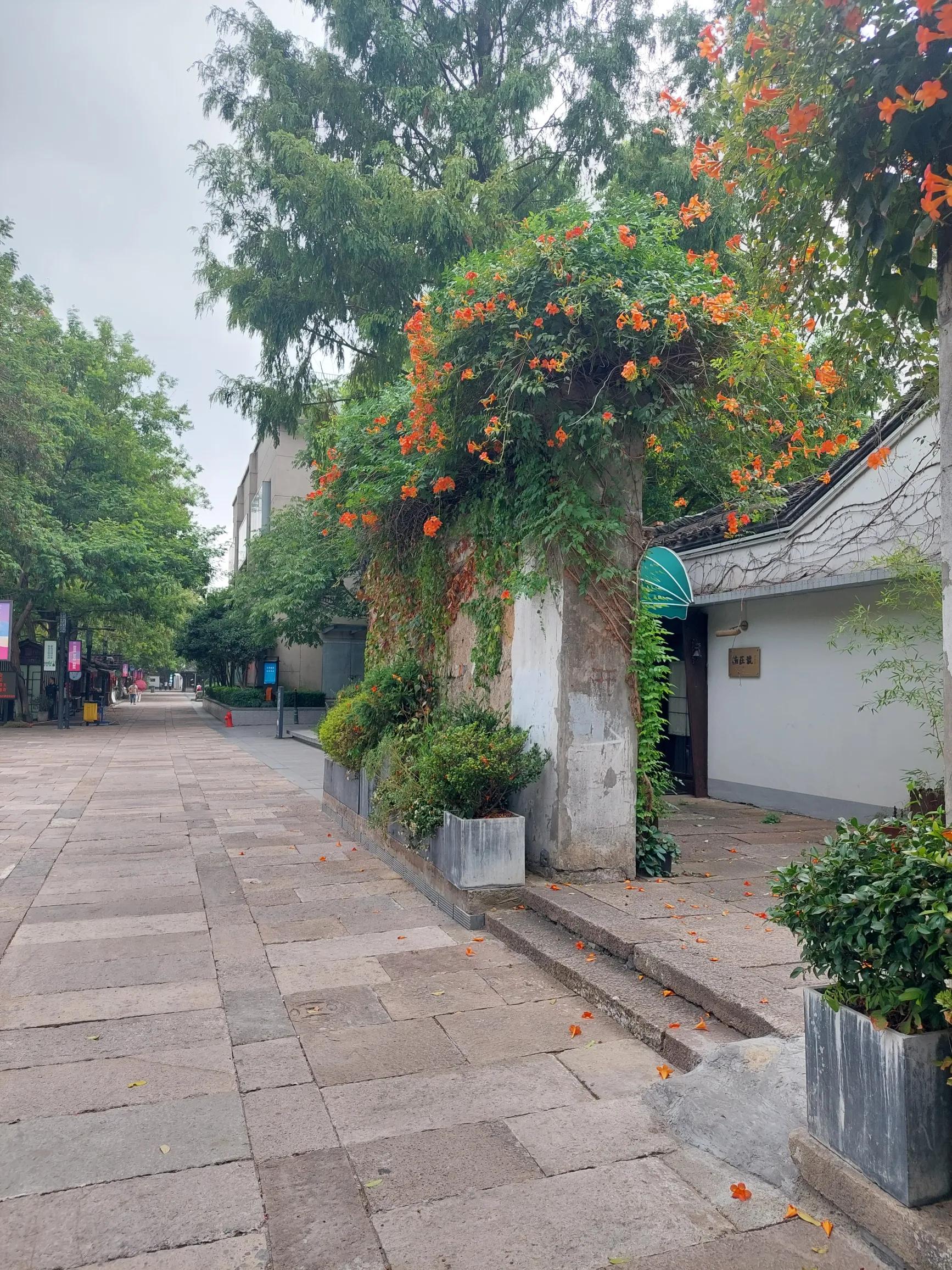 猪八戒职场生存法则,猪八戒的职场智慧