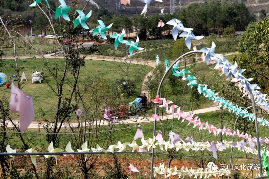 全球学子嘉游赣靠谱吗,全球学子嘉游赣活动