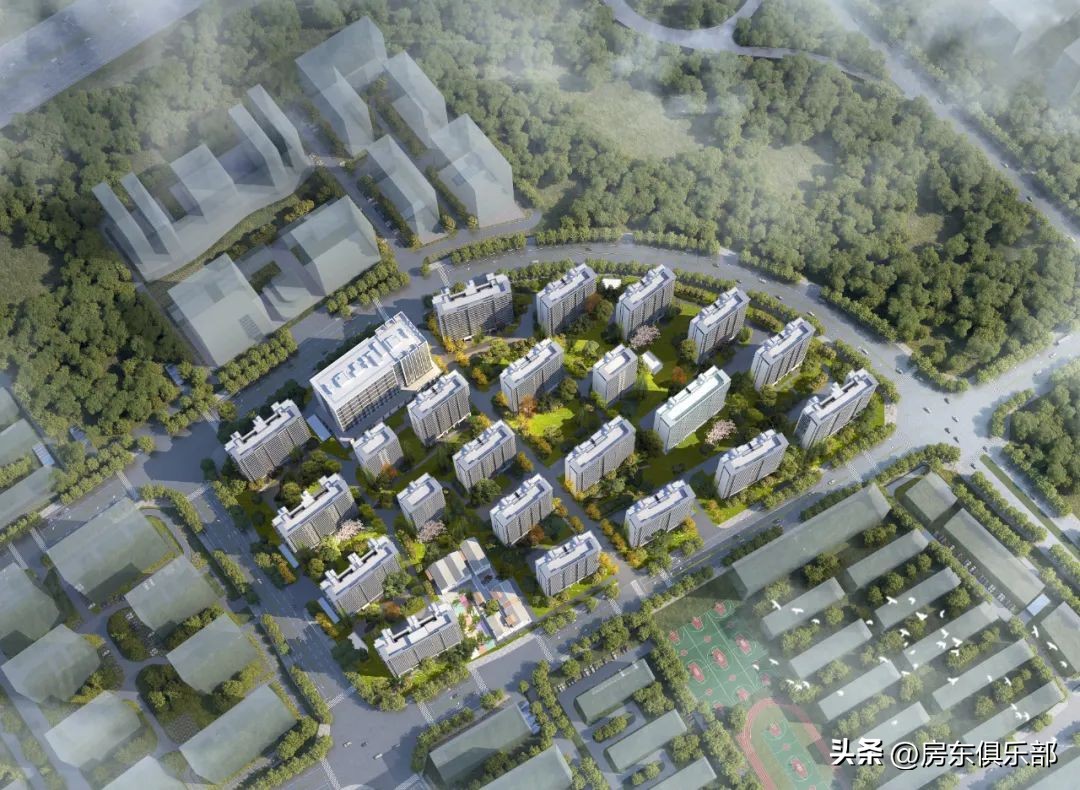 买金水北还是鸿园,买六味地黄丸的人