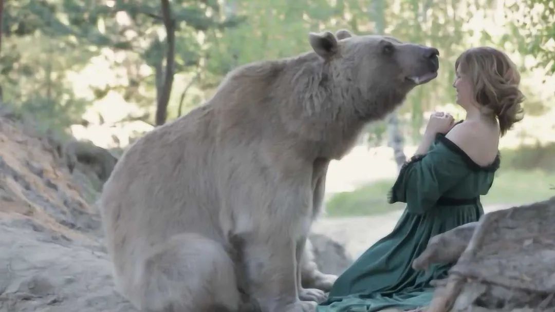 芬兰跟俄罗斯的恩怨,芬兰被俄占领的领土