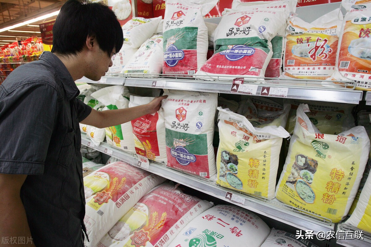 今日玉米行情山东,山东玉米今日行情大盘走势