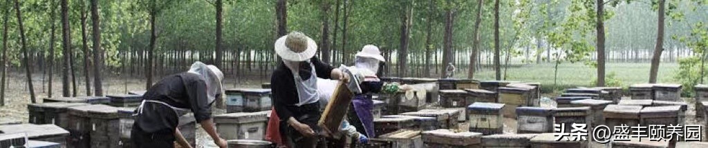 情色江湖霸主之争｜《花花公子》《阁楼》杂志历经40年*虎斗龙**