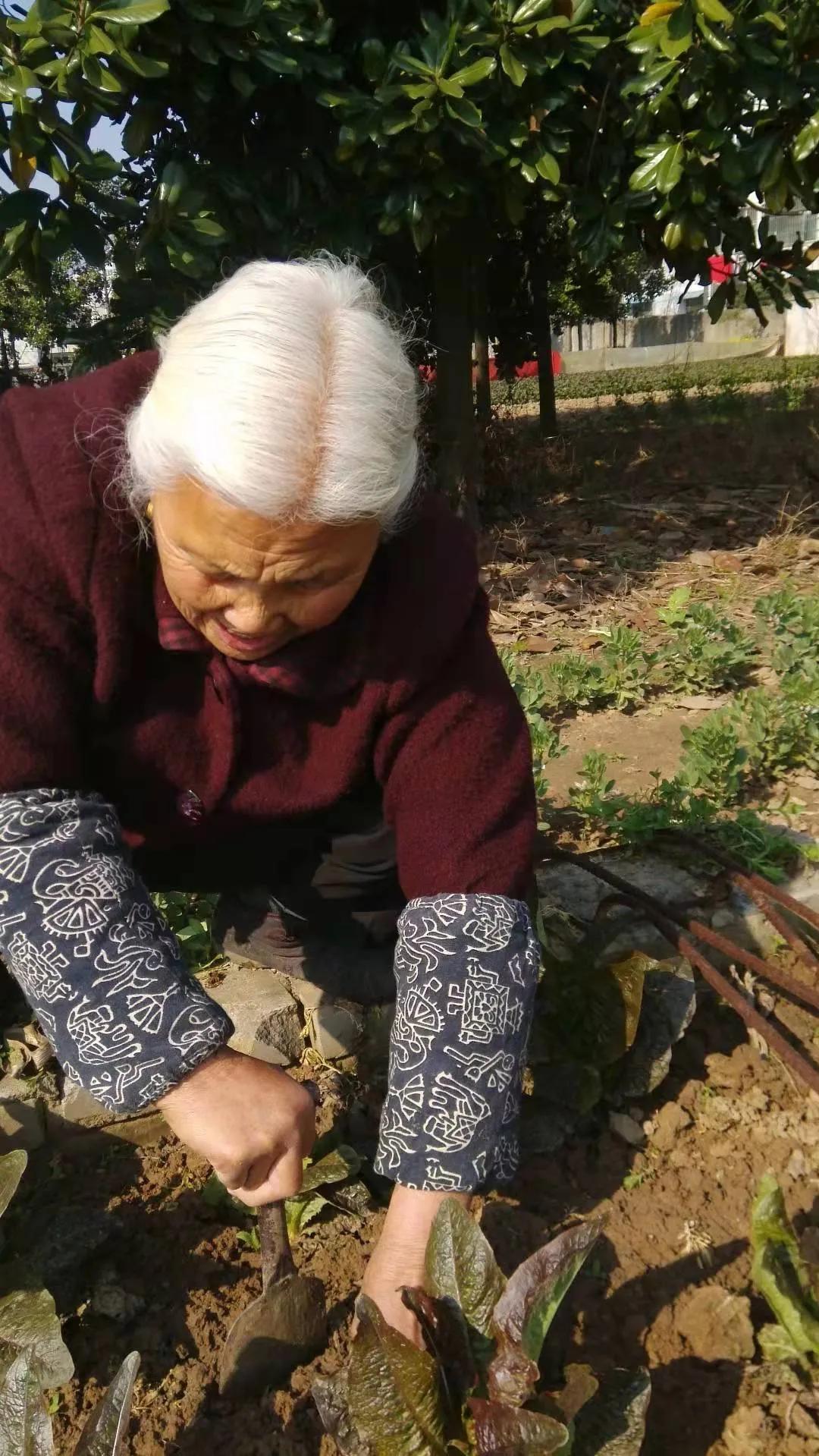 父辈的艰苦岁月,父辈苦难全文