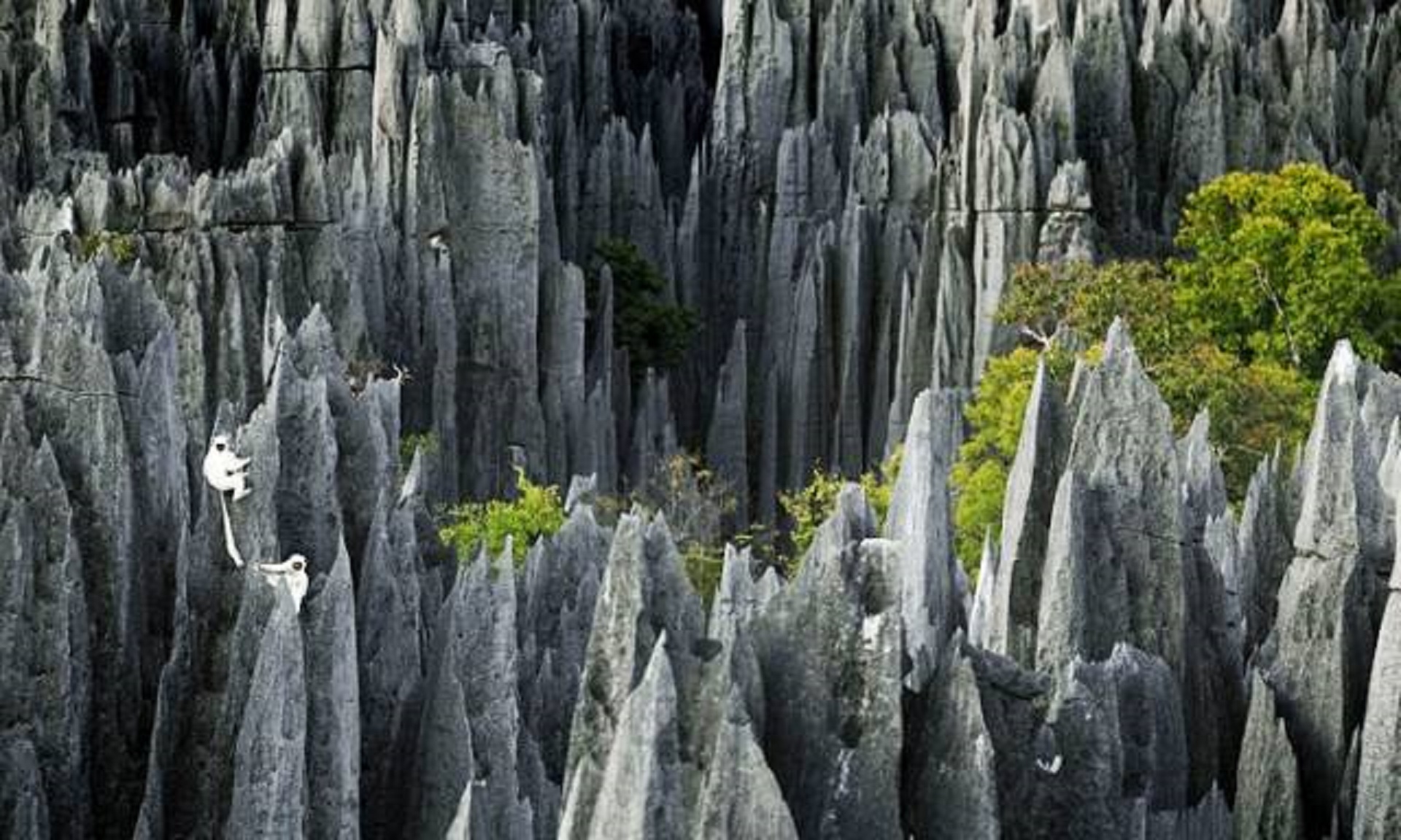震撼的世界奇观,世界真实景观奇迹