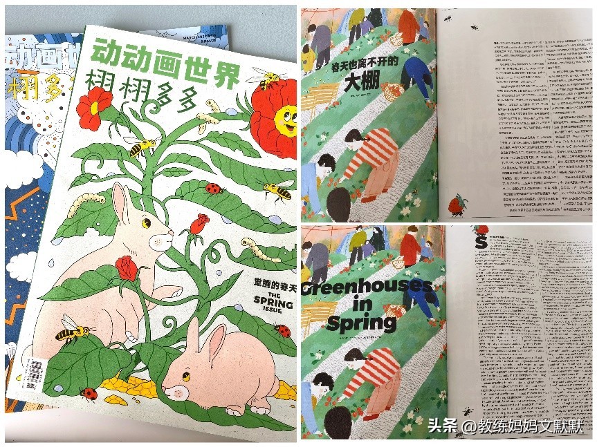 推荐订阅的儿童杂志有哪些,中国含金量高的儿童杂志推荐