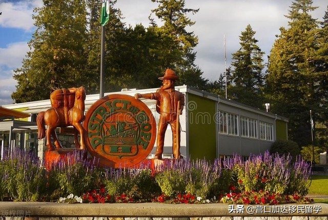 加拿大送签可以代办吗,加拿大签证攻略北京送签流程