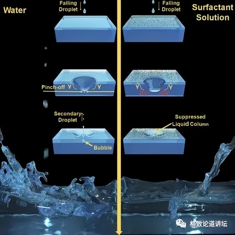 做科研在美国还是中国好,做科研还是从商