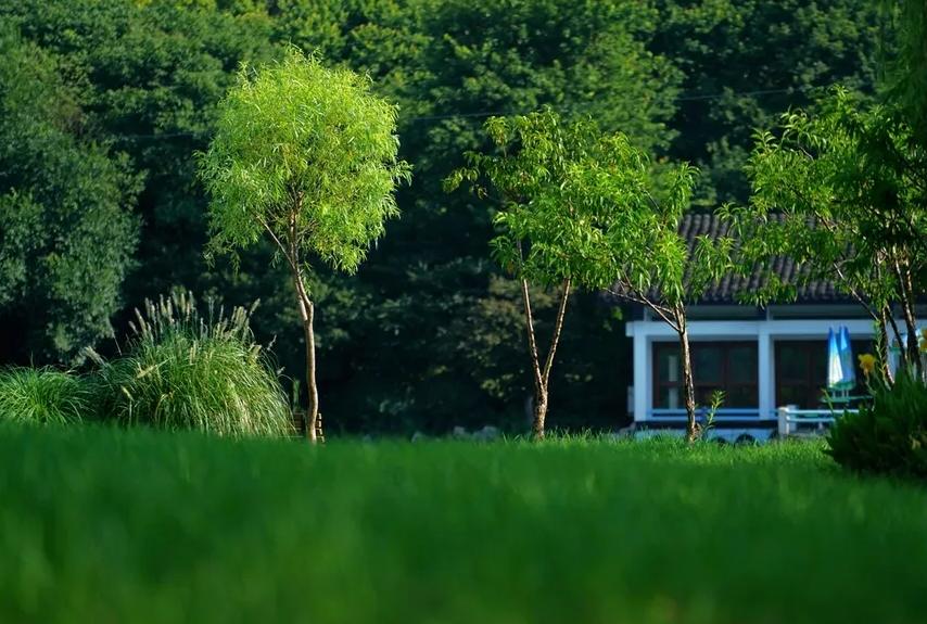 春回夏至秋到冬来的古人诗词,25首夏至诗词送你一夏清凉