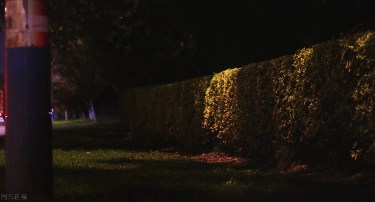 寻找失散40年双胞胎姐妹,寻找失散多年的妹妹20年