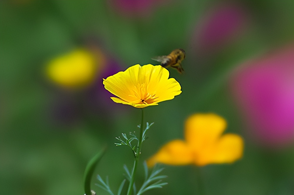 涨知识看什么视频,涨知识原相机